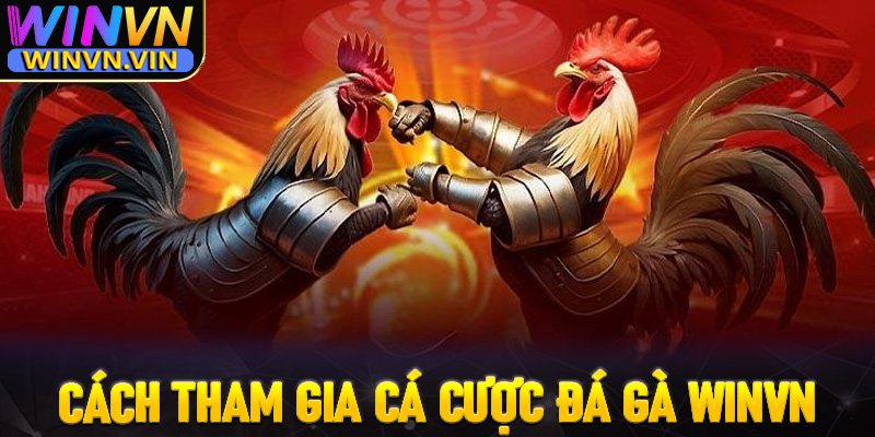 Hướng dẫn các bước tham gia đặt cược đá gà winvn